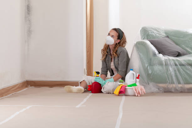 Reliable Mold Testing contractor in Charlotte Hall, MD by WQB Mold Removal